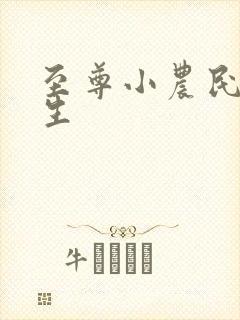 至尊小农民王木生