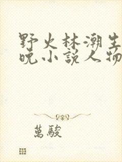 野火林潮生林晚晚小说人物野火