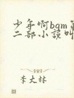 少年啊bgm第二部小说叫什么