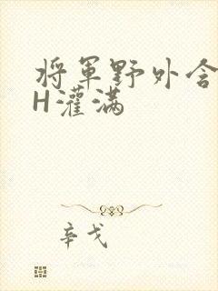 将军野外含公主H灌满