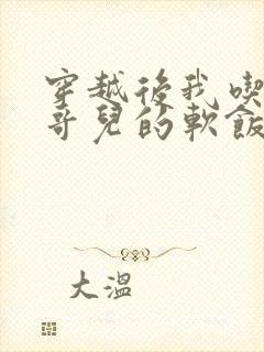 穿越后我吃到了哥儿的软饭炉山灰