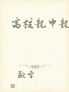 高校龙中龙