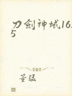 刀剑神域16.5