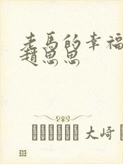 老马的幸福生活赵思思