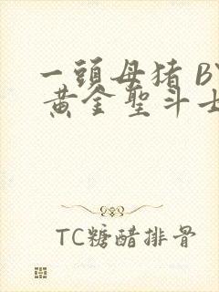 一头母猪 BY 黄金圣斗士