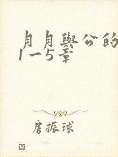 月月与公的激情1一5章