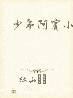少年阿宾小说