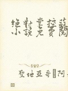 绝对掌控苏绵绵小说免费阅读全文