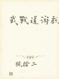 武战道游戏