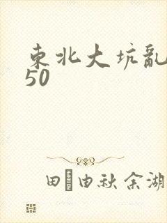 东北大坑乱1—50