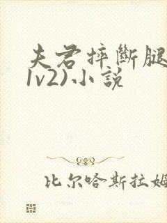 夫君摔断腿后(1v2)小说