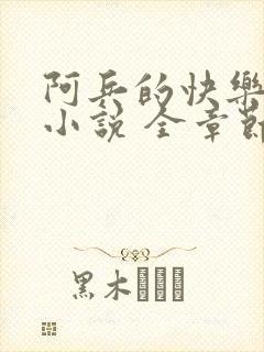 阿兵的快乐生活小说 全章节阅读免费