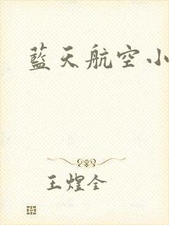 蓝天航空小说