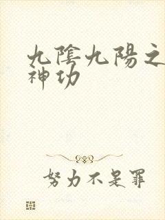 九阴九阳之阴阳神功