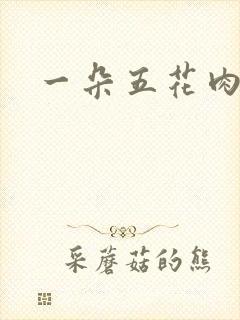 一朵五花肉