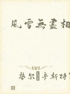 风雪无尽相思情