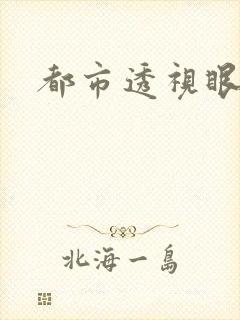 都市透视眼