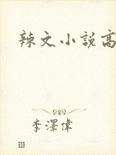 辣文小说高h