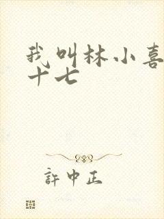 我叫林小喜今年十七