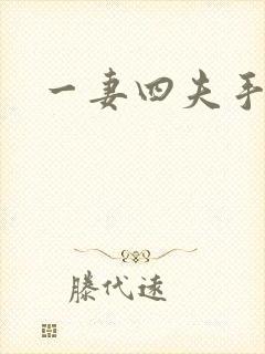 一妻四夫手记