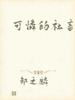 可怜的社畜分手