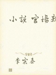 小说 官场新贵