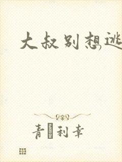 大叔别想逃