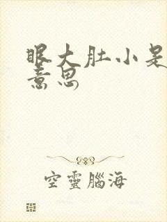 眼大肚小是什么意思