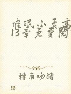 催眠小柔高达第13章免费阅读