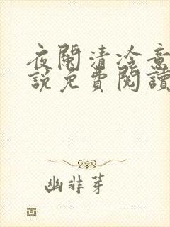 夜阑清冷意欢小说免费阅读