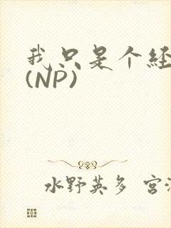 我只是个经纪人(NP)