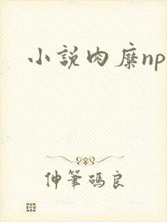 小说肉糜np