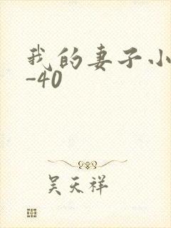 我的妻子小谨1-40