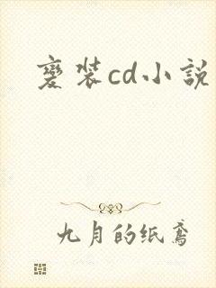 变装cd小说