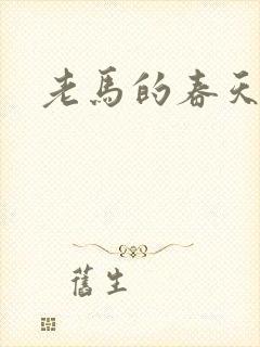 老马的春天敏静