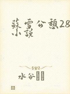 苏雪公憩28篇小说