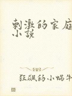 刺激的家庭乱仑小说