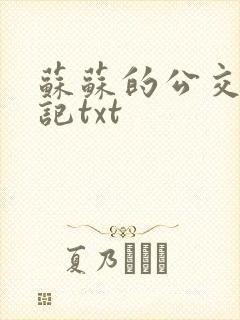 苏苏的公交车日记txt