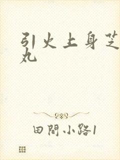 引火上身芝麻糖丸