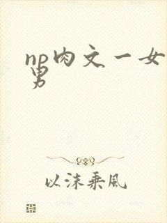 np肉文一女多男