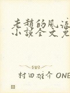 老赵的风流人生小说全文免费阅读