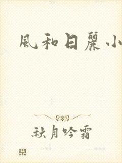 风和日丽小说