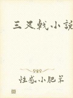 三叉戟小说