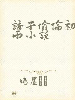 诱子偷伦初尝云雨小说