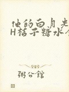 他的白月光HVH桔子糖水全文