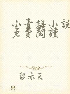 小青梅小说全文免费阅读