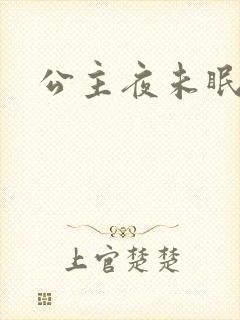 公主夜未眠