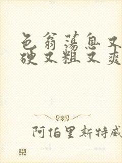 色翁荡息又大又硬又粗又爽电影