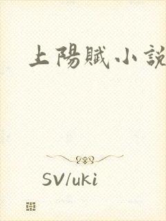 上阳赋小说