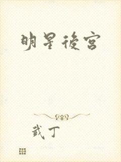 明星后宫